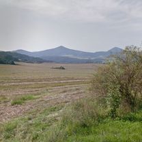 2017-01