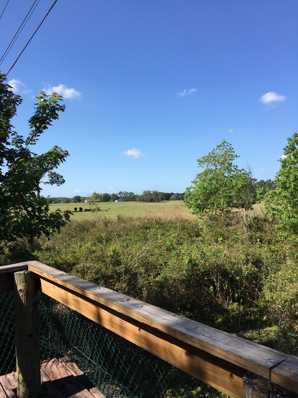 Bike Trail!