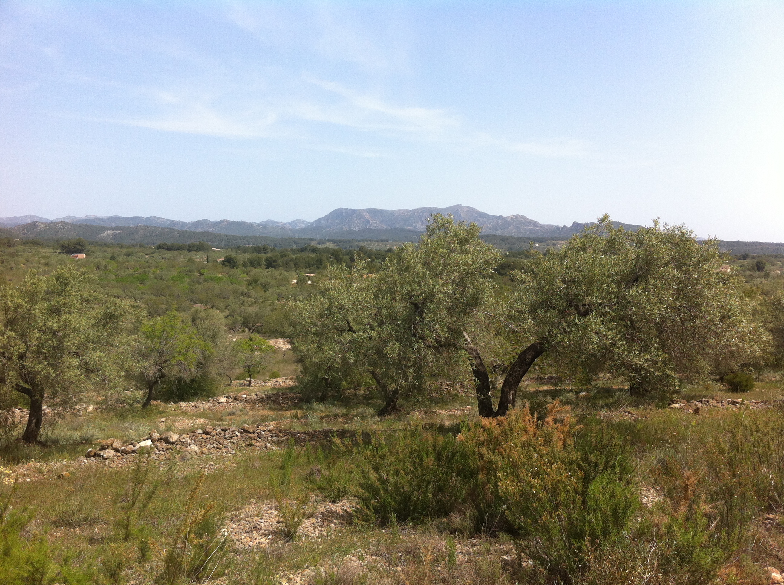 Borra, Les Planes per Mas Sardina, Via Augusta(antiga 340)-Borra