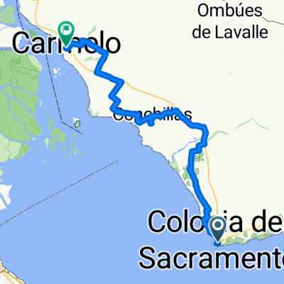 Colonia a Carmelo 2017