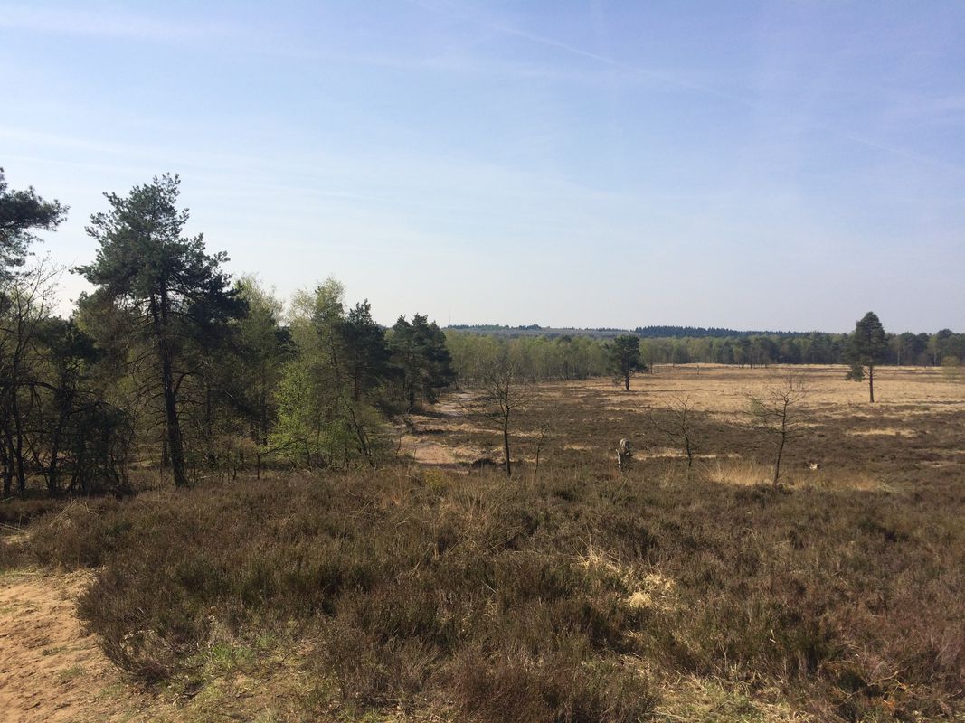 2017 04 19 Naar Apeldoorn vanuit Hoenderloo met Rina en Cees