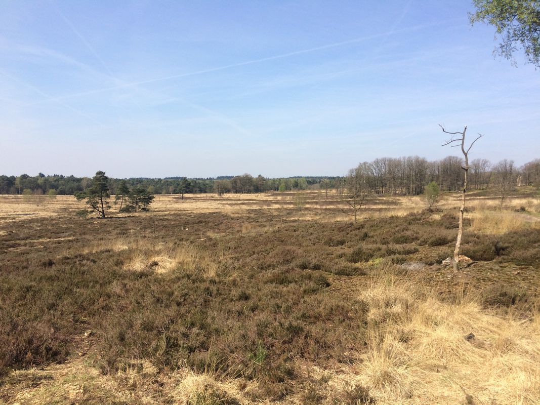 2017 04 19 Naar Apeldoorn vanuit Hoenderloo met Rina en Cees