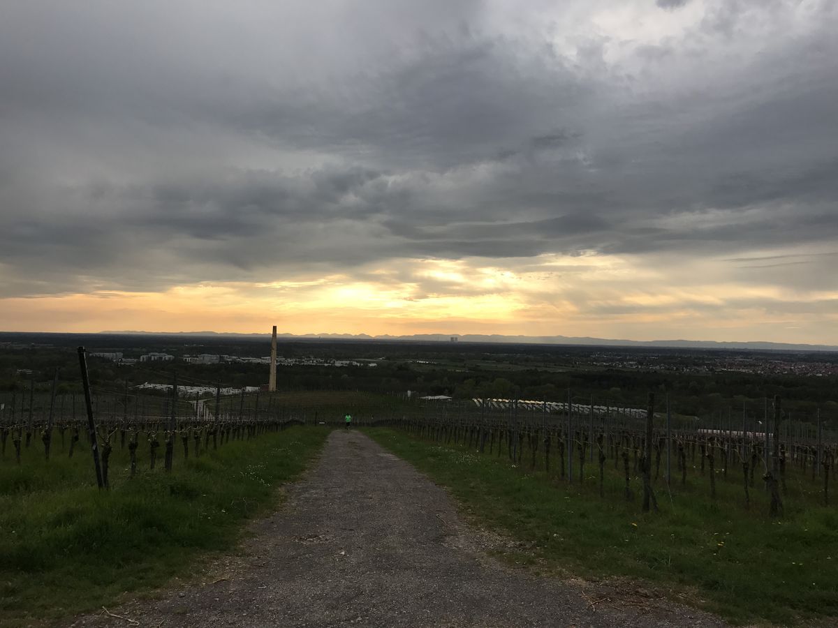 Singles in walldorf baden