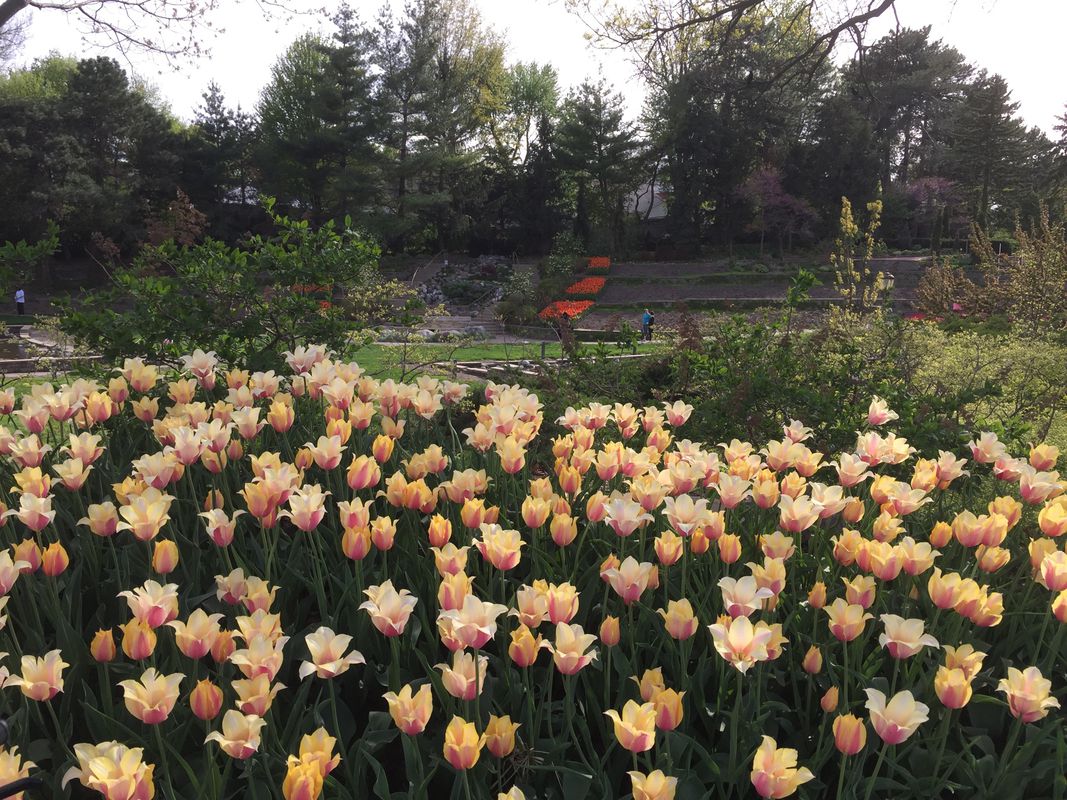 Billy Wolf Trail To Sunken Gardens