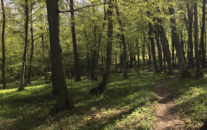 Atrakcja 2 na trasie Bikemap „Viscri” Atrakcja 2 na trasie Bikemap „Viscri”