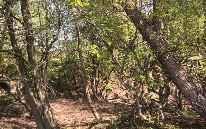 Atrakcja 1 na trasie Bikemap „Viscri” Atrakcja 1 na trasie Bikemap „Viscri”