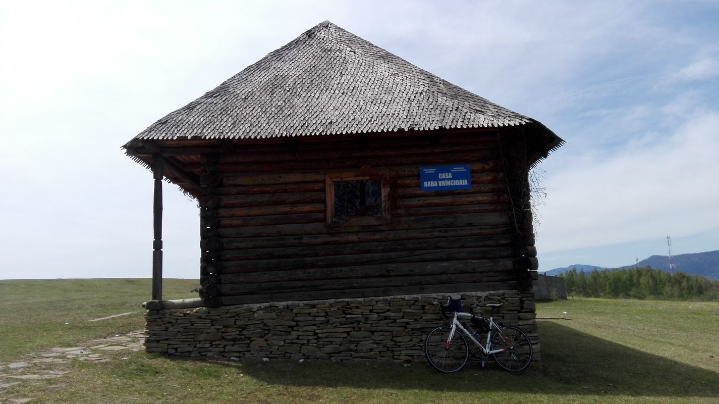 Țifești - Lepșa - pasul Mușat - Țifești