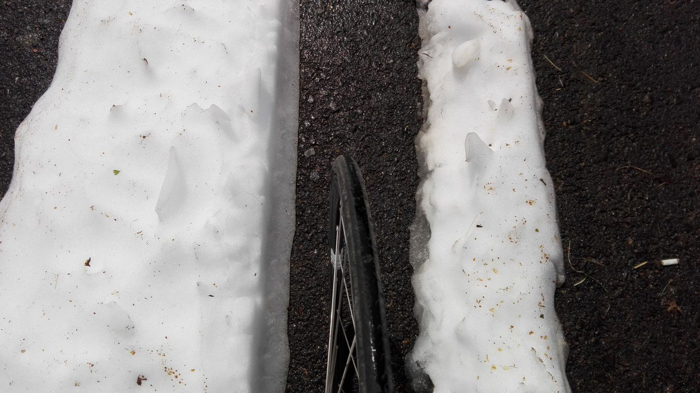 Țifești - Lepșa - pasul Mușat - Țifești