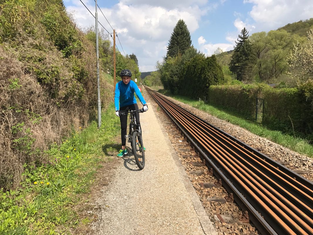 Ausfahrt von Stallegg nach Langenlois