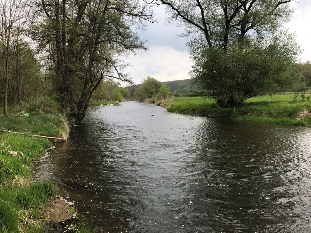 Ausfahrt von Stallegg nach Langenlois