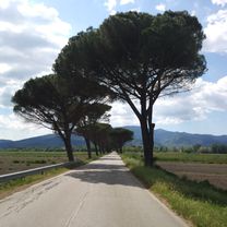 Arno Training: da Firenze a Calci (Pi)