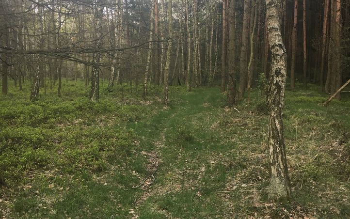 Hebe Bild 2 entlang der Bikemap-Route "Single Chechelskie 1" hervor