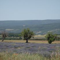 Vaison 3