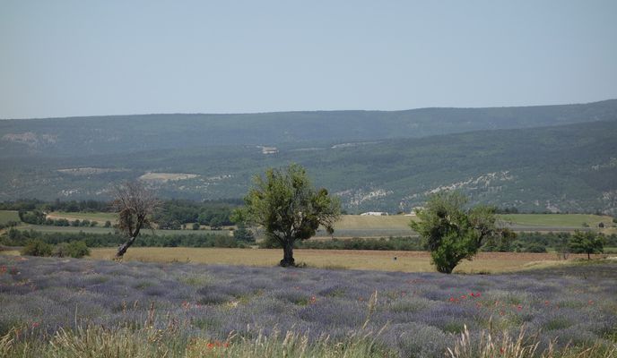 Photo 1 of the Bikemap route "Vaison 3"