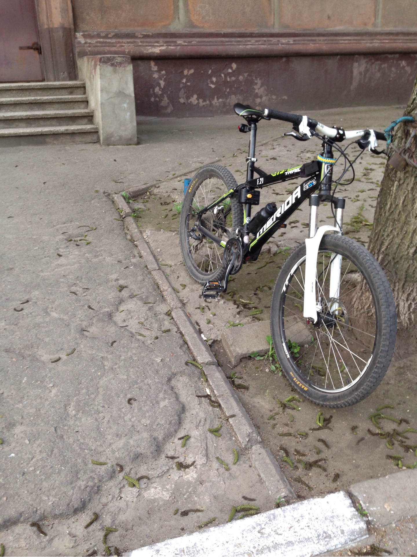 Highlight 1 along the Bikemap route "bike tour through Запорожье"