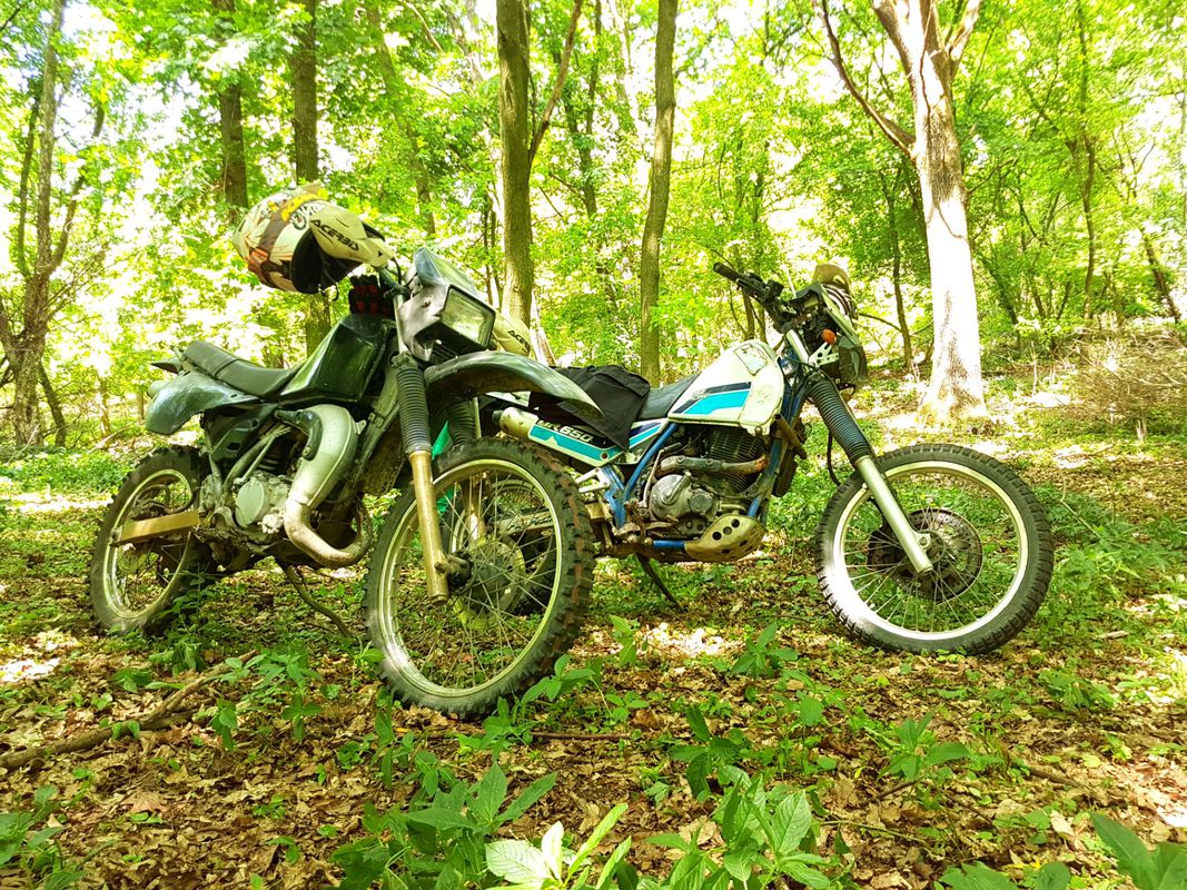 Long ride from Sântioana de Mureș to Ungheni