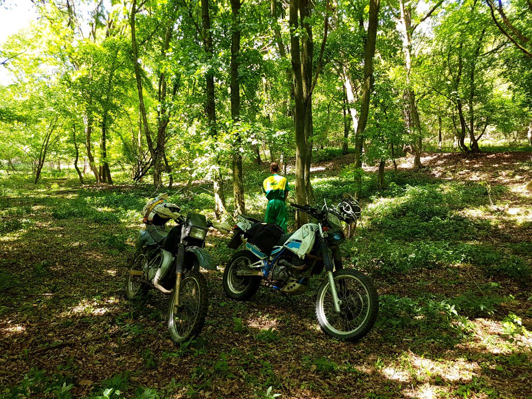 Long ride from Sântioana de Mureș to Ungheni