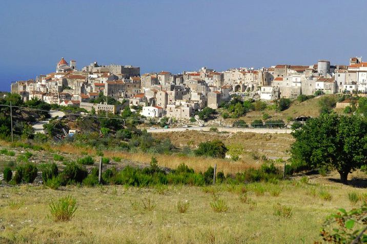 Hebe Bild 2 entlang der Bikemap-Route "Percorso natalizio 24/12/2016, Vieste-Foresta Umbra-Vico del G.-Ischitella-Rodi G.-Peschici-Vieste" hervor