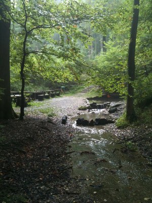Hebe Bild 7 entlang der Bikemap-Route "Bad Laer 1" hervor