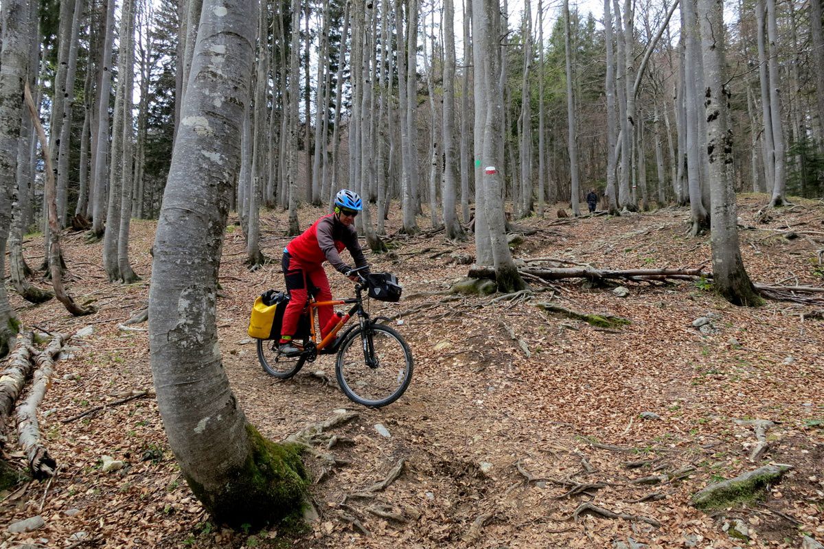 Julian Alps 4/5-day touring track