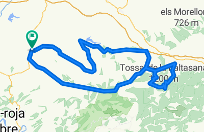 Route in der Bikemap App öffnen