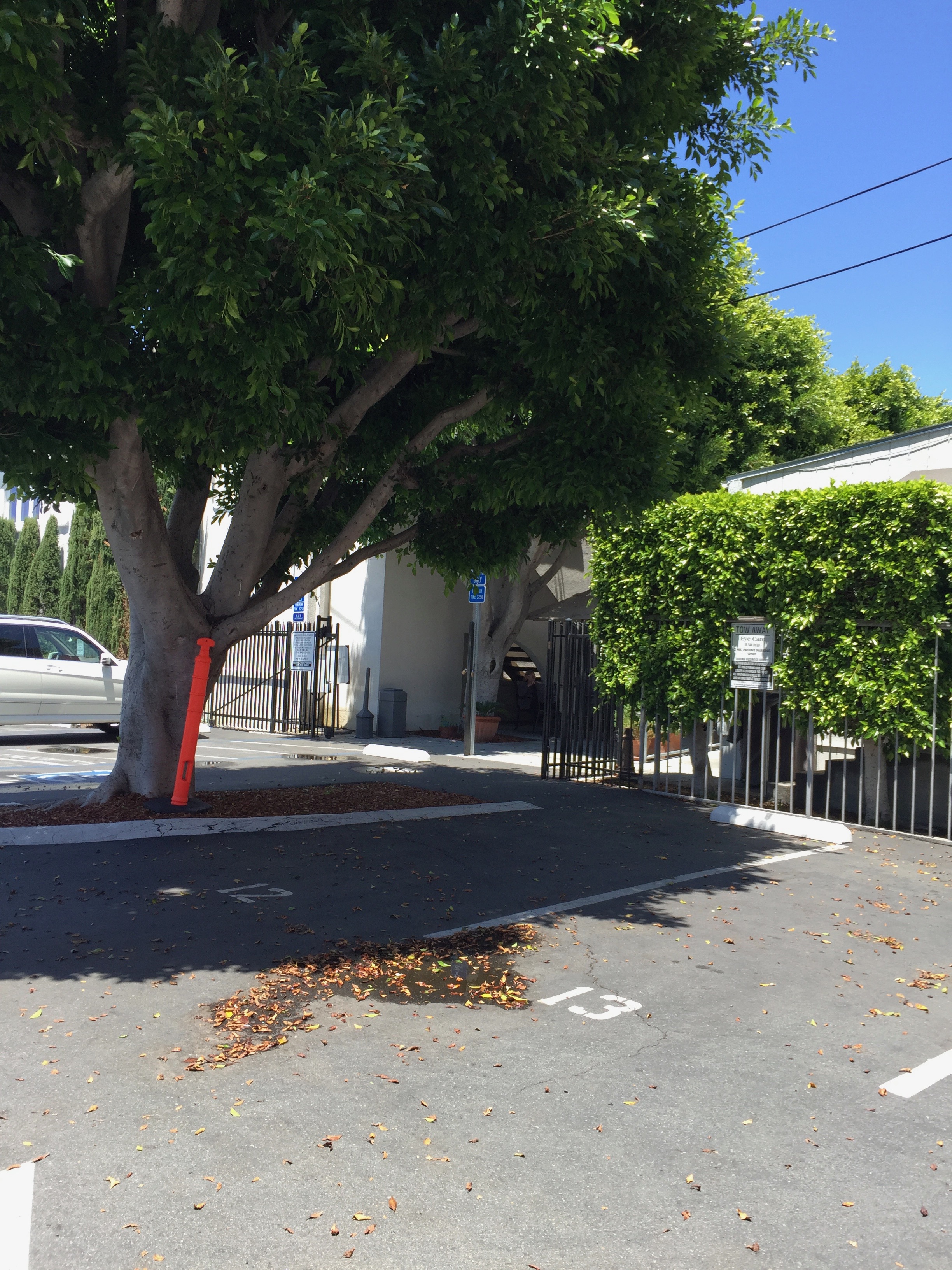 Hebe Bild 38 entlang der Bikemap-Route "The Inaugural Founding Fathers Slow Step Ride" hervor