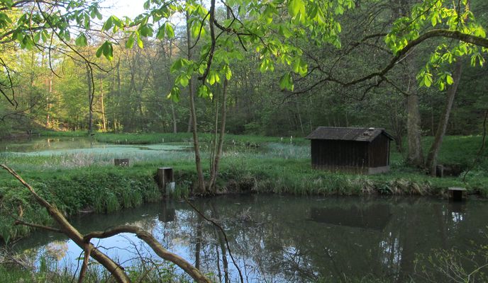 Foto 2 del percorso Bikemap "Oberaichen - Schlosssolitude"