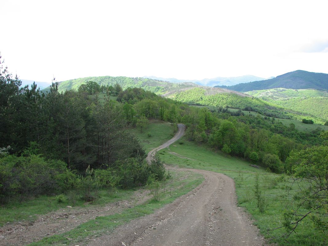 с.Батулия - с. Буковец - Св. Панталеймон - с. Огоя