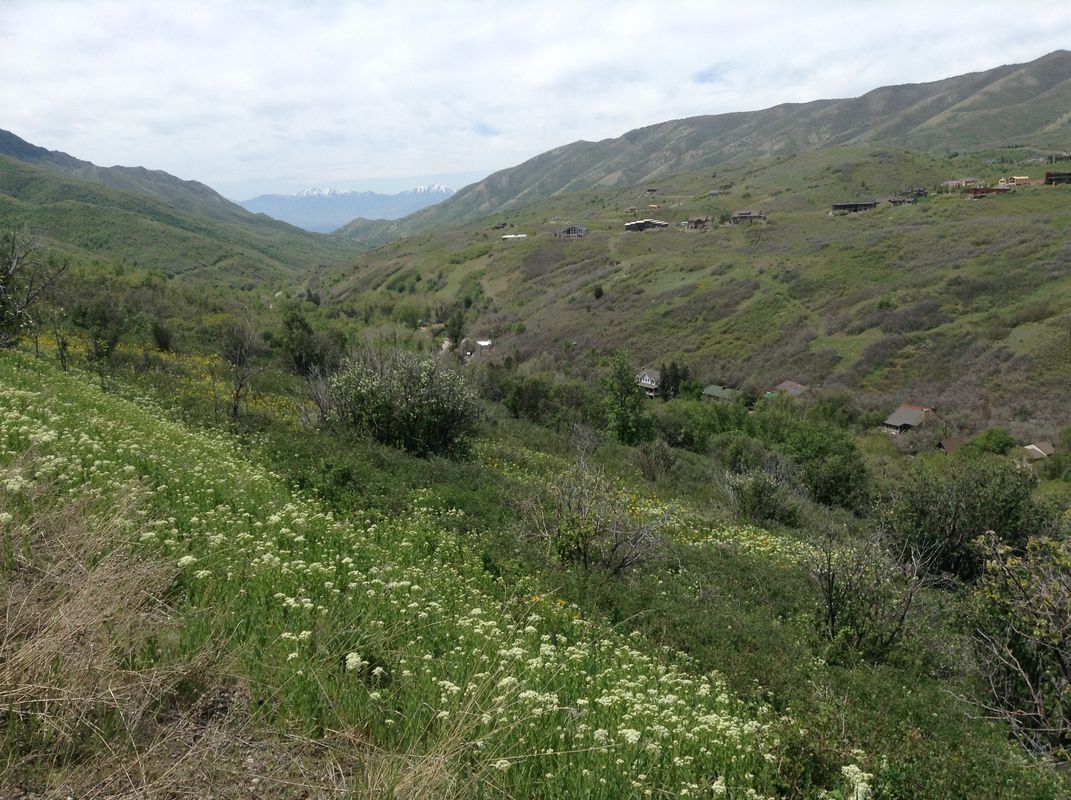 Emigration Canyon Climb to Little Mountain Summit - Salt Lake City UT