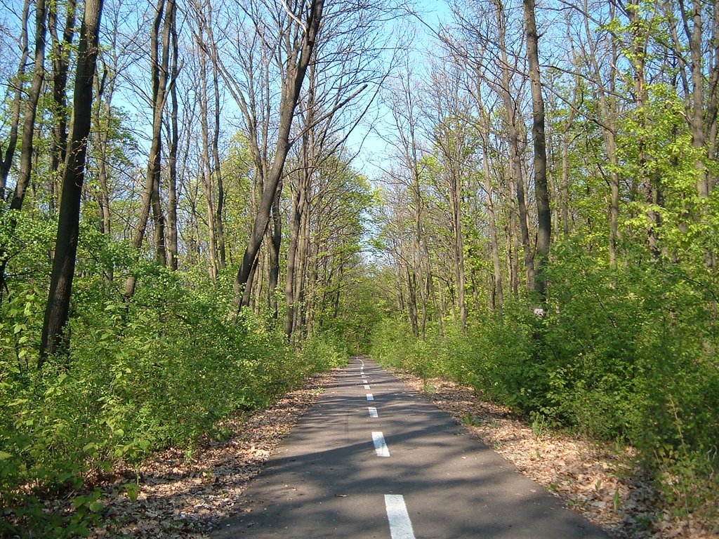 Point fort 1 sur l’itinéraire Bikemap « Kerékpár maraton - 8. nap » Point fort 1 sur l’itinéraire Bikemap « Kerékpár maraton - 8. nap »