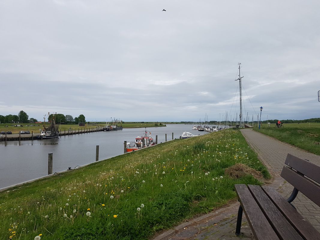 Lange Radrunde durch Norden-Norddeich-Deichstraße-Greetsiel und zurück