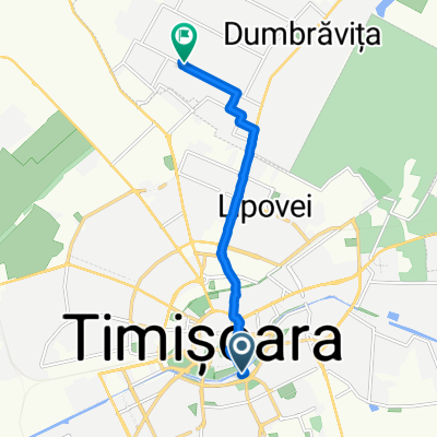 Timișoara to D cu Sumo