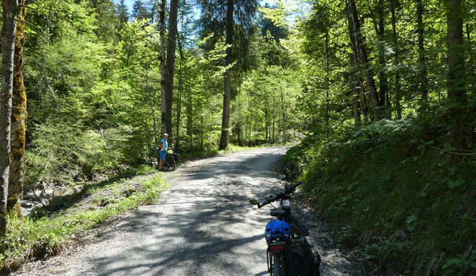 Zdjęcie 2 trasy Bikemap „Radrunde, Dannerbruck - Gütle - Niedere - Kobelalpe und zurück ”