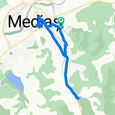 bike tour through Mediaș