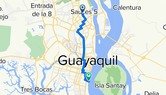 Sauces 6 - Isla Santay