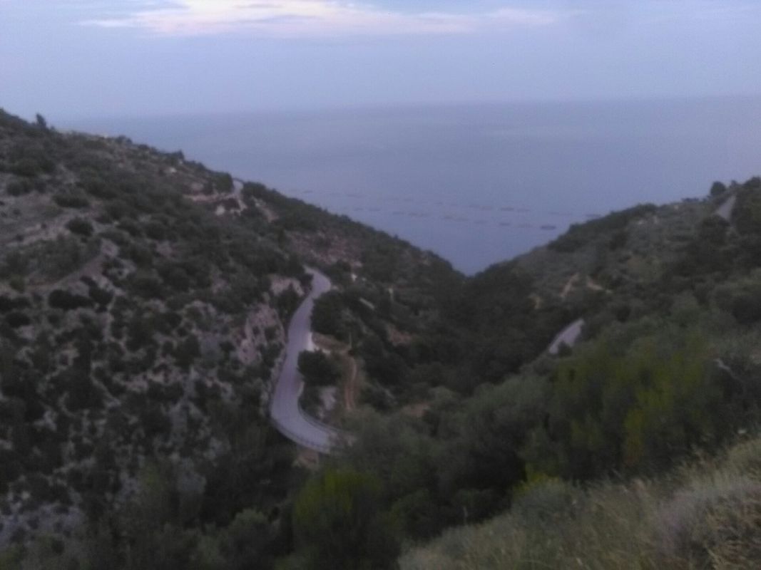 tordilupo vallevecchia montelci