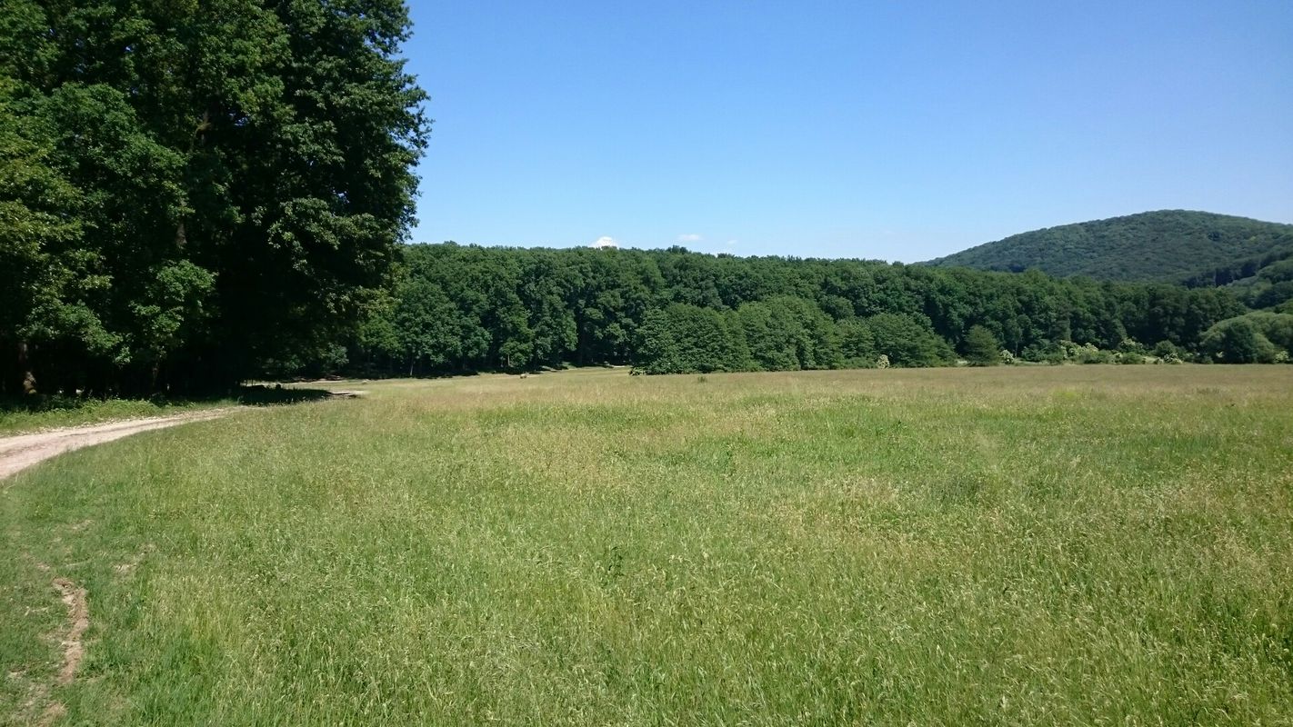Dobra voda