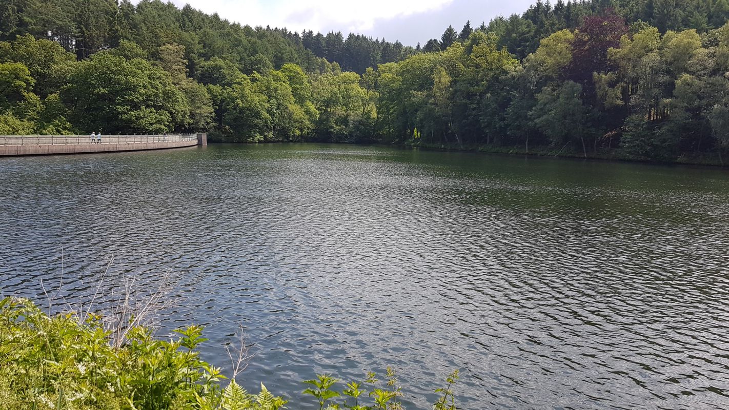 bike tour from 4 czerwca, 10:52