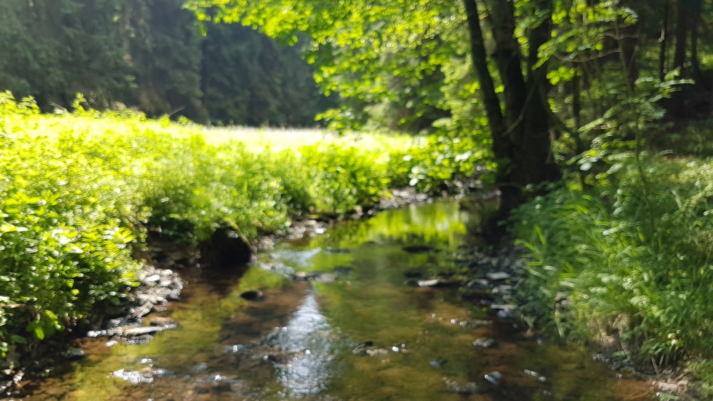 bike tour from 4 czerwca, 10:52