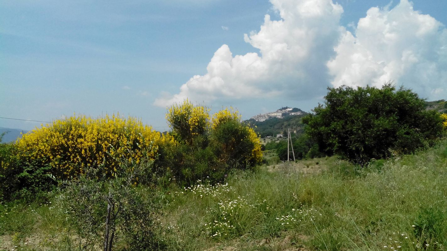 Carbone - Sella del Titolo - Chiaromonte e ritorno