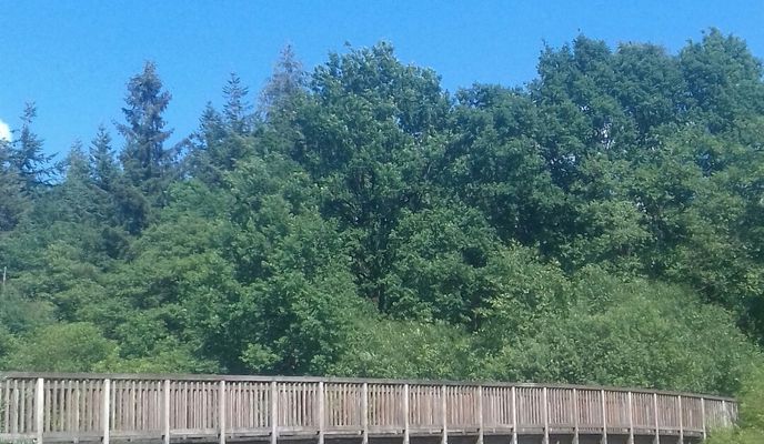 Foto 1 der Bikemap-Route "Radrunde vom 5. Juni 13:26"