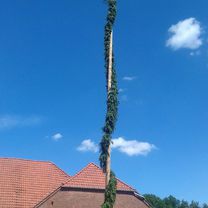 Foto 7 der Bikemap-Route "Radrunde vom 5. Juni 13:26"