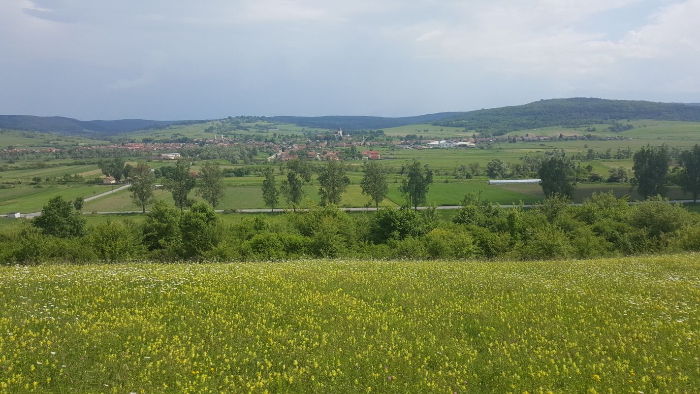 Cornatel - Rosia - Vurpar - Hosman - Nucet - Cornatel