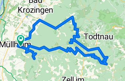 Route in der Bikemap App öffnen