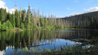 Point fort 2 sur l’itinéraire Bikemap « Špičák-jezero Laka- Poledník-Modrava » Point fort 2 sur l’itinéraire Bikemap « Špičák-jezero Laka- Poledník-Modrava »