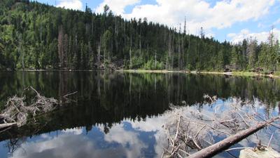 Point fort 7 sur l’itinéraire Bikemap « Špičák-jezero Laka- Poledník-Modrava » Point fort 7 sur l’itinéraire Bikemap « Špičák-jezero Laka- Poledník-Modrava »