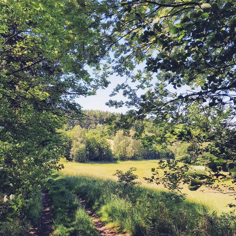 Polička - Bystřice nad Pernštejnem, pěšky