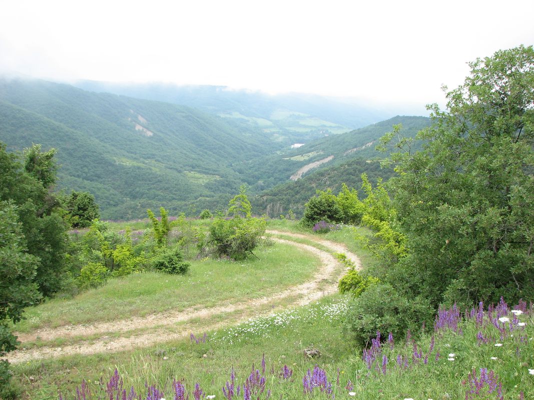 с.Г.Спанчево - с.Пирин