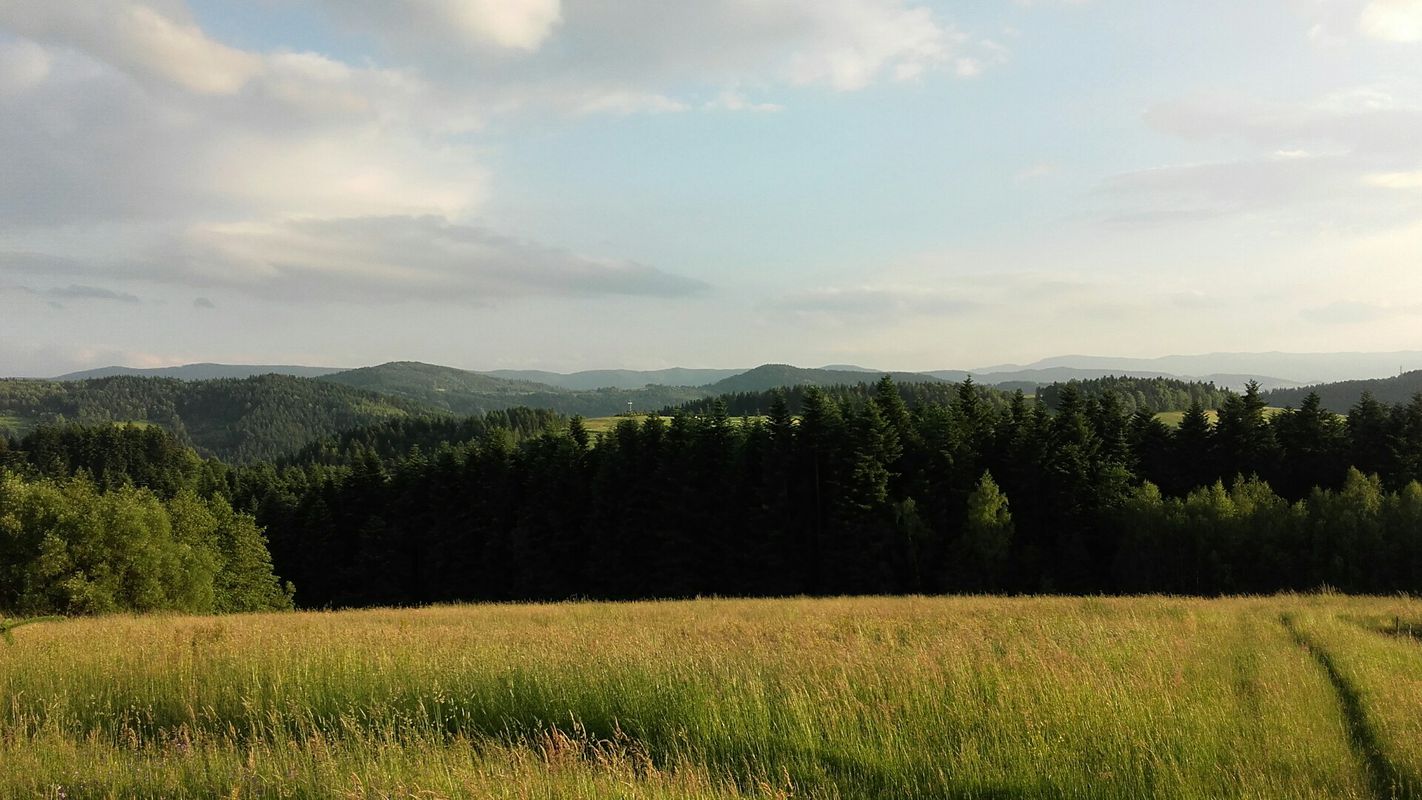 R krzyż Mszalnica