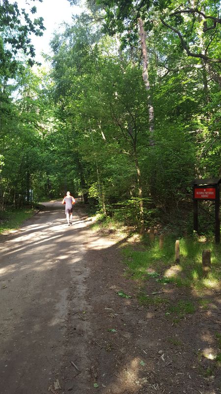 Karwia, Żarnowiec, Dębki, Karwia
